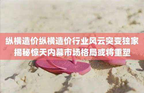 纵横造价纵横造价行业风云突变独家揭秘惊天内幕市场格局或将重塑