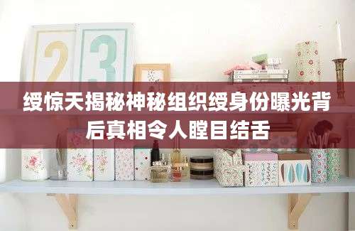 绶惊天揭秘神秘组织绶身份曝光背后真相令人瞠目结舌
