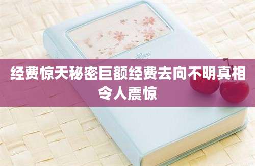 经费惊天秘密巨额经费去向不明真相令人震惊