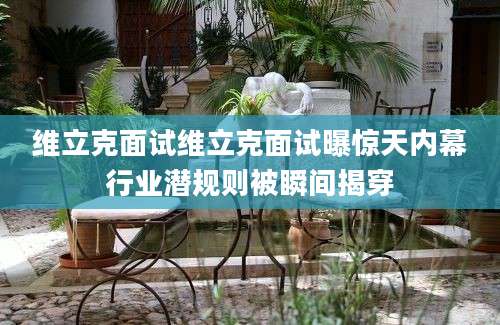 维立克面试维立克面试曝惊天内幕行业潜规则被瞬间揭穿