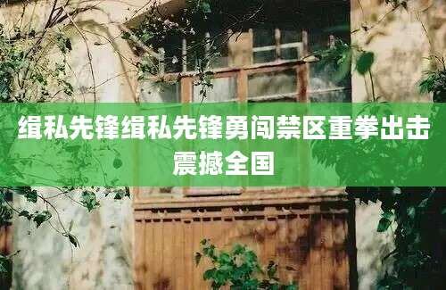 缉私先锋缉私先锋勇闯禁区重拳出击震撼全国