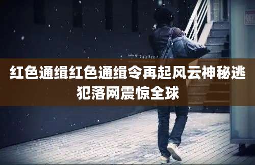 红色通缉红色通缉令再起风云神秘逃犯落网震惊全球