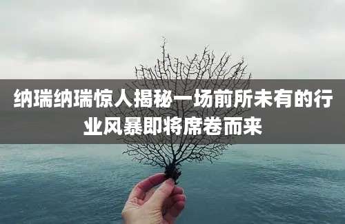 纳瑞纳瑞惊人揭秘一场前所未有的行业风暴即将席卷而来