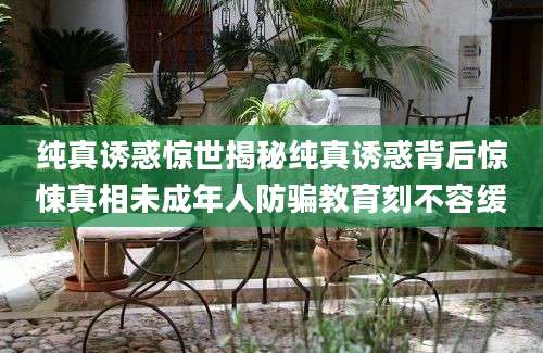 纯真诱惑惊世揭秘纯真诱惑背后惊悚真相未成年人防骗教育刻不容缓