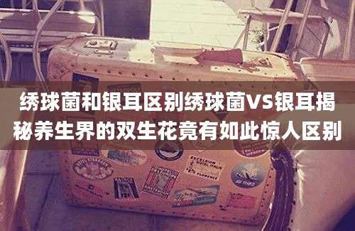 绣球菌和银耳区别绣球菌VS银耳揭秘养生界的双生花竟有如此惊人区别