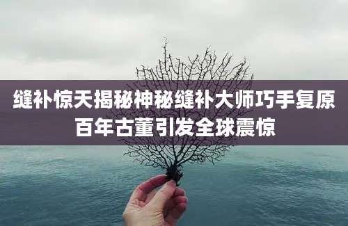 缝补惊天揭秘神秘缝补大师巧手复原百年古董引发全球震惊