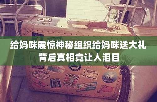 给妈咪震惊神秘组织给妈咪送大礼背后真相竟让人泪目