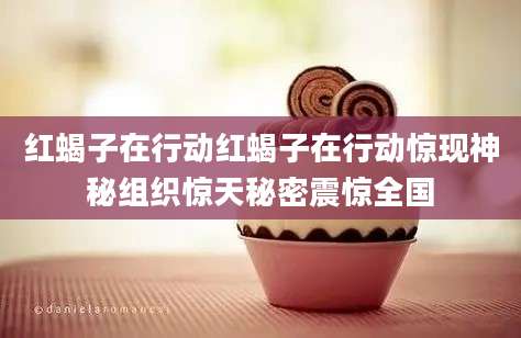 红蝎子在行动红蝎子在行动惊现神秘组织惊天秘密震惊全国