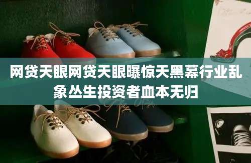 网贷天眼网贷天眼曝惊天黑幕行业乱象丛生投资者血本无归