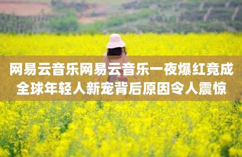 网易云音乐网易云音乐一夜爆红竟成全球年轻人新宠背后原因令人震惊