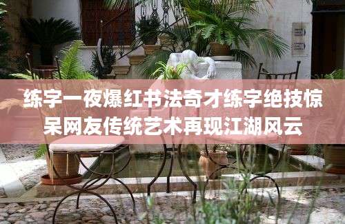 练字一夜爆红书法奇才练字绝技惊呆网友传统艺术再现江湖风云