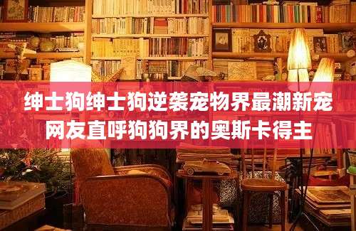 绅士狗绅士狗逆袭宠物界最潮新宠网友直呼狗狗界的奥斯卡得主
