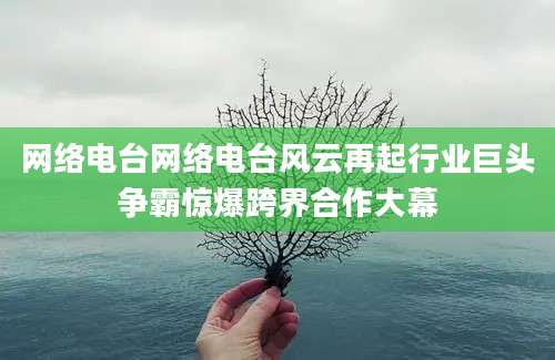 网络电台网络电台风云再起行业巨头争霸惊爆跨界合作大幕