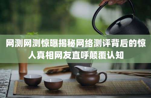 网测网测惊曝揭秘网络测评背后的惊人真相网友直呼颠覆认知