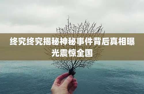 终究终究揭秘神秘事件背后真相曝光震惊全国
