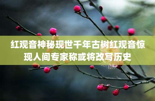 红观音神秘现世千年古树红观音惊现人间专家称或将改写历史