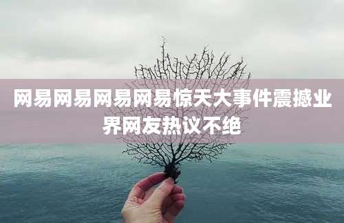 网易网易网易网易惊天大事件震撼业界网友热议不绝