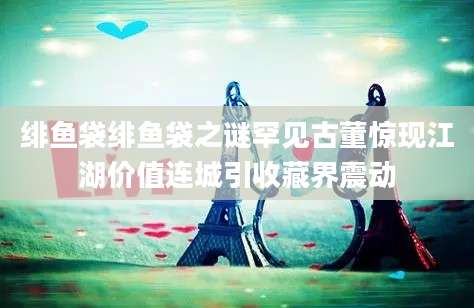 绯鱼袋绯鱼袋之谜罕见古董惊现江湖价值连城引收藏界震动