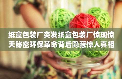 纸盒包装厂突发纸盒包装厂惊现惊天秘密环保革命背后隐藏惊人真相