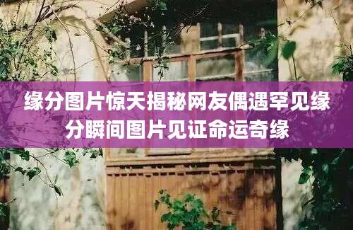 缘分图片惊天揭秘网友偶遇罕见缘分瞬间图片见证命运奇缘