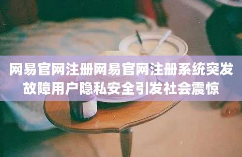 网易官网注册网易官网注册系统突发故障用户隐私安全引发社会震惊