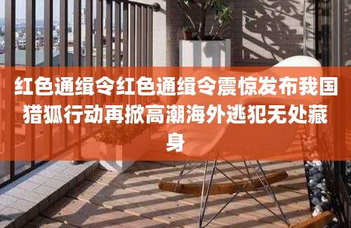 红色通缉令红色通缉令震惊发布我国猎狐行动再掀高潮海外逃犯无处藏身