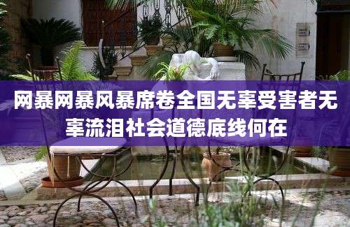 网暴网暴风暴席卷全国无辜受害者无辜流泪社会道德底线何在