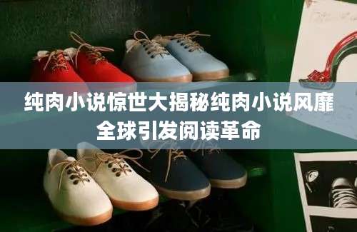 纯肉小说惊世大揭秘纯肉小说风靡全球引发阅读革命