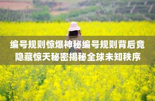 编号规则惊爆神秘编号规则背后竟隐藏惊天秘密揭秘全球未知秩序