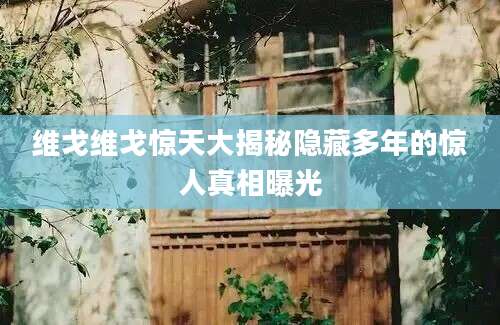 维戈维戈惊天大揭秘隐藏多年的惊人真相曝光