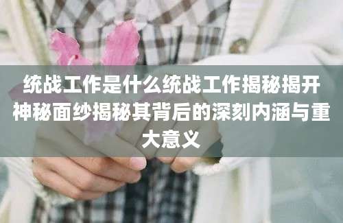 统战工作是什么统战工作揭秘揭开神秘面纱揭秘其背后的深刻内涵与重大意义