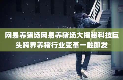网易养猪场网易养猪场大揭秘科技巨头跨界养猪行业变革一触即发