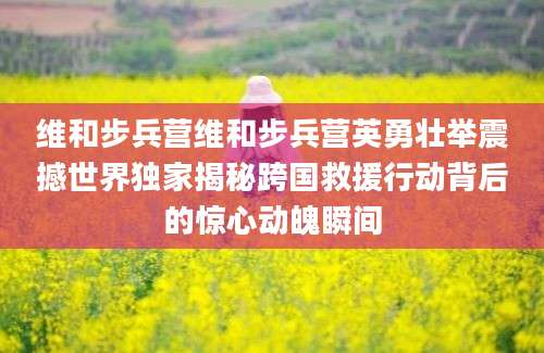 维和步兵营维和步兵营英勇壮举震撼世界独家揭秘跨国救援行动背后的惊心动魄瞬间