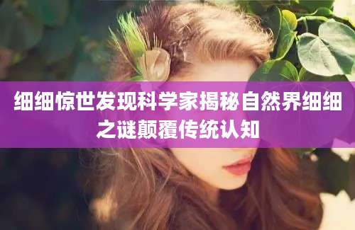 细细惊世发现科学家揭秘自然界细细之谜颠覆传统认知