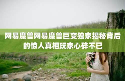 网易魔兽网易魔兽巨变独家揭秘背后的惊人真相玩家心碎不已