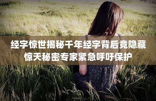 经字惊世揭秘千年经字背后竟隐藏惊天秘密专家紧急呼吁保护