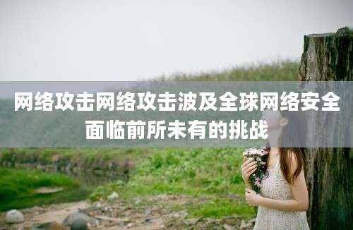 网络攻击网络攻击波及全球网络安全面临前所未有的挑战