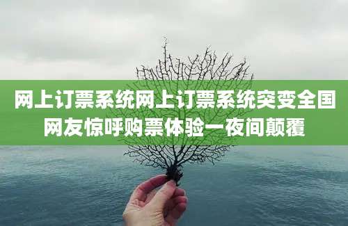 网上订票系统网上订票系统突变全国网友惊呼购票体验一夜间颠覆
