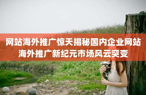 网站海外推广惊天揭秘国内企业网站海外推广新纪元市场风云突变