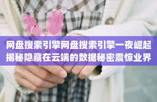 网盘搜索引擎网盘搜索引擎一夜崛起揭秘隐藏在云端的数据秘密震惊业界