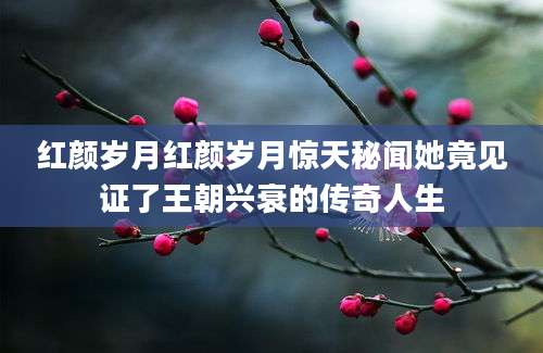 红颜岁月红颜岁月惊天秘闻她竟见证了王朝兴衰的传奇人生