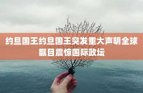 约旦国王约旦国王突发重大声明全球瞩目震惊国际政坛