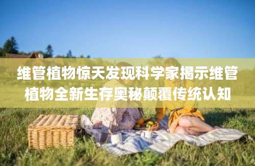 维管植物惊天发现科学家揭示维管植物全新生存奥秘颠覆传统认知