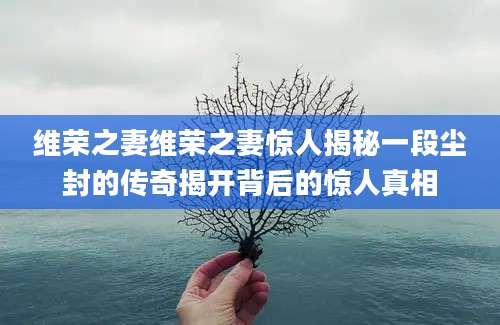 维荣之妻维荣之妻惊人揭秘一段尘封的传奇揭开背后的惊人真相