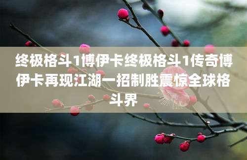 终极格斗1博伊卡终极格斗1传奇博伊卡再现江湖一招制胜震惊全球格斗界