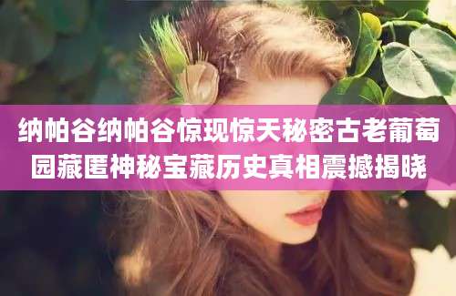 纳帕谷纳帕谷惊现惊天秘密古老葡萄园藏匿神秘宝藏历史真相震撼揭晓