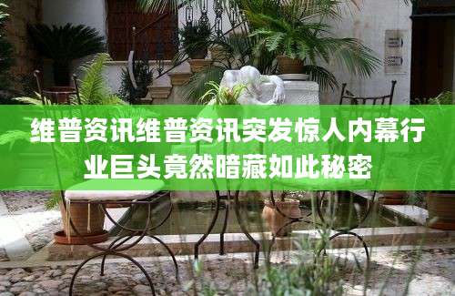 维普资讯维普资讯突发惊人内幕行业巨头竟然暗藏如此秘密