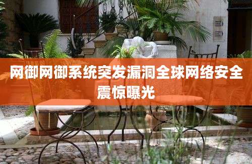 网御网御系统突发漏洞全球网络安全震惊曝光