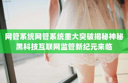 网管系统网管系统重大突破揭秘神秘黑科技互联网监管新纪元来临