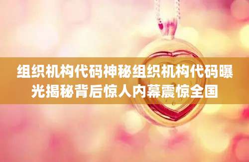组织机构代码神秘组织机构代码曝光揭秘背后惊人内幕震惊全国
